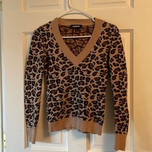 V neck leopard print Express sweater